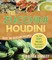 The Zucchini Houdini