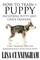 How to Train a Puppy Including Potty and Crate Training