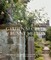 Garden Secrets of Bunny Mellon