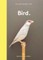 New Photography of the Bird