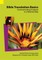 Bible Translation Basics