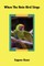 When The Rain Bird Sings