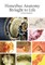 Honeybee Anatomy Brought to Life