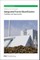 Integrated Forest Biorefineries