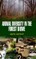 Animal Diversity in the Forest Biome