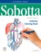 Sobotta Anatomy Coloring Book ENGLISCH/LATEIN