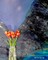Orange tulips Artist grid journal $ir Michael designer Limited edition