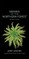 Mosses of the Northern Forest