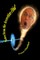 Notes from the Accretion Disk