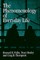 The Phenomenology of Everyday Life