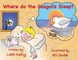 Where do the Seagulls sleep?