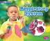 My Respiratory System