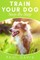 Train Your Dog Step-By-Step