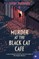 Murder at the Black Cat CafÃÂ©