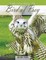 Understanding the Bird of Prey