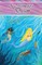 A Mermaid's Dream