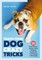 Teach Your Dog Crazy Tricks