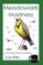 Meadowlark Madness