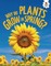 Why Do Plants Grow in Spring?
