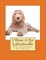 I Want A Pet Labradoodle