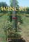 Winery