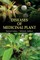 Diseases of Medicinal Plant