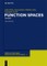 Function Spaces, 1