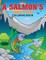 A Salmon's Journey Home Coloring Book