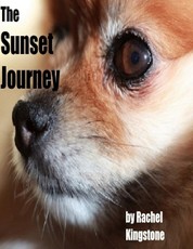The Sunset Journey