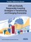 CSR and Socially Responsible Investing Strategies in Transitioning and Emerging Economies