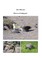 Discover GalÃ¡pagos!