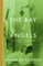 The Bay of Angels