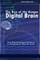 The Rise of the Human Digital Brain