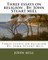 Three essays on religion . By
