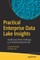 Practical Enterprise Data Lake Insights
