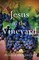 Jesus In The Vineyard