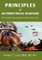 Principles of Asymmetrical Warfare