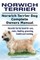 Norwich Terrier. Norwich Terrier Dog Complete Owners Manual. Norwich Terrier book for care, costs, feeding, grooming, health and training.