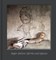 Roger Ballen