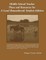 Middle School Teacher Plans and Resources for A Land Remembered, Student Edition