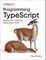 Programming Typescript