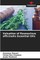 Valuation of Rosmarinus officinalis Essential Oils