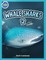 Whale Shark 2 ages 4-8
