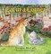 Cat in a Corner