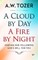 A Cloud by Day, a Fire by Night