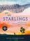 We Are Starlings