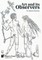 Art and its Observers (Color)