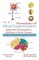 Neuroscience of Mind Empowerment