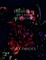 Essentials of cell biology -3