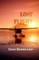 Lost Flight